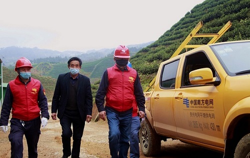 平塘供電局：“加減法”同構(gòu)服務(wù)，護(hù)航“貴州春茶第一壺”