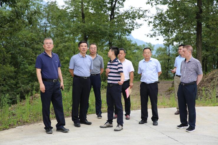 中國能建總經(jīng)理、黨委副書記孫洪水一行赴陜西鎮(zhèn)巴縣調(diào)研定點扶貧工作