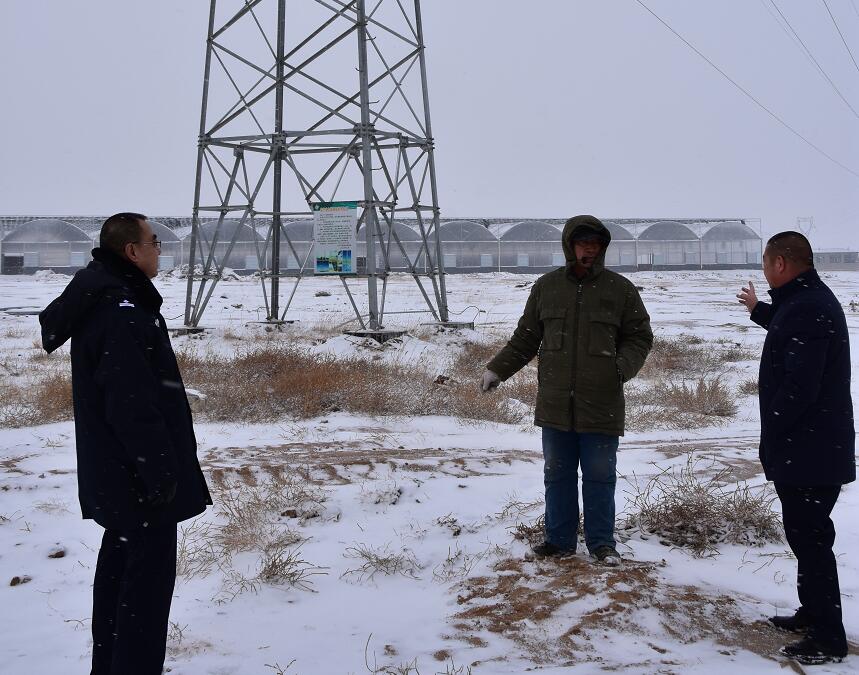 二連浩特供電公司：開展客戶側(cè)安全檢查，確?？诎犊蛻粝楹兔髁吝^春節(jié)