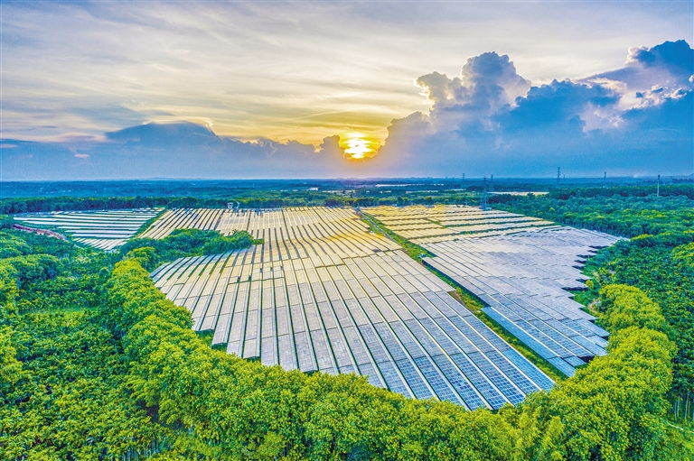 海南電網(wǎng)公司加快構(gòu)建現(xiàn)代供電服務(wù)體系，驅(qū)動(dòng)鄉(xiāng)村振興電力引擎
