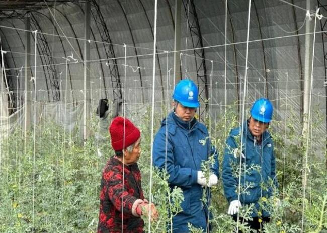 山東惠民供電公司：走訪(fǎng)種植大棚，優(yōu)化農(nóng)業(yè)營(yíng)商環(huán)境