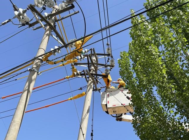 帶電作業(yè)除隱患，安全供電有保障