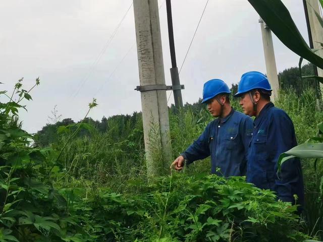 國網(wǎng)長春供電公司積極應(yīng)對(duì)極端天氣，確保線路設(shè)備穩(wěn)定運(yùn)行