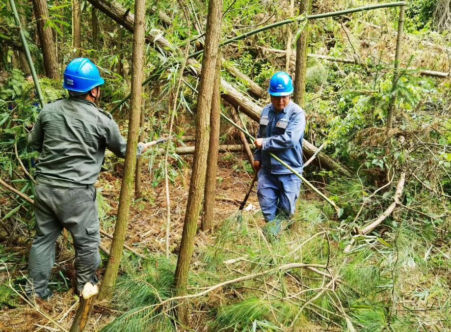 南方電網(wǎng)荔波供電局線路憂患如“猛獸”，通道清通要爭先