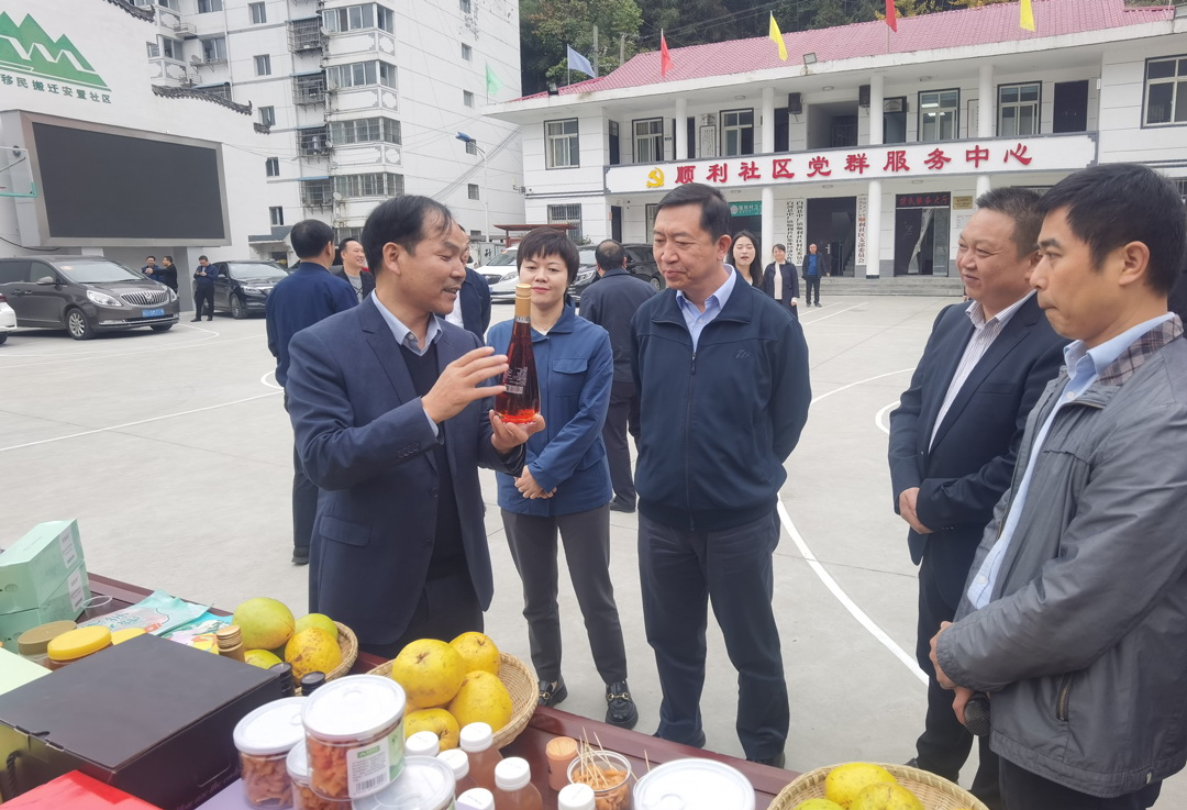 中核集團(tuán)總經(jīng)理、黨組副書記顧軍赴陜西白河、旬陽(yáng)調(diào)研鄉(xiāng)村振興工作