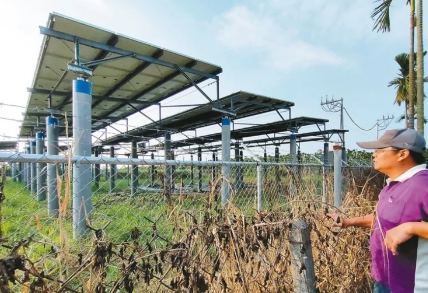 臺媒：農田“種電”讓農民苦不堪言，島內面臨農電兩失困境