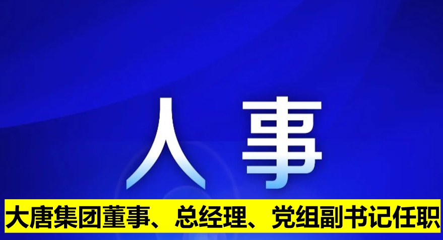大唐集團董事、總經(jīng)理、黨組副書記任職